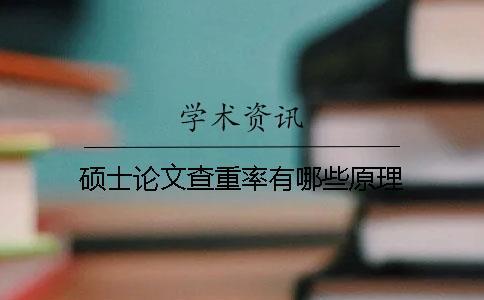 碩士論文查重率有哪些原理