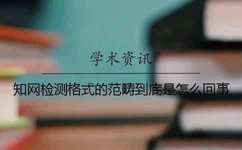 知網檢測格式的范疇到底是怎么回事？