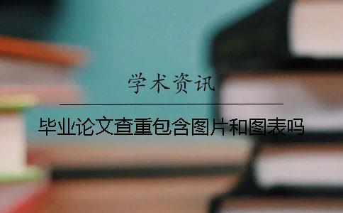 畢業論文查重包含圖片和圖表嗎
