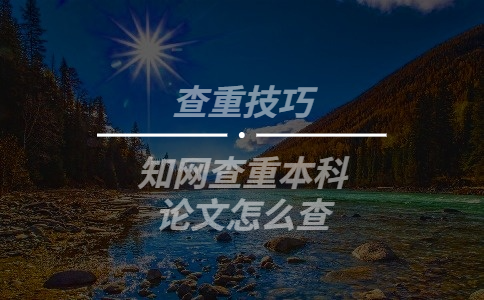 知網(wǎng)查重本科論文怎么查