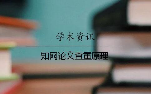 知網(wǎng)論文查重原理