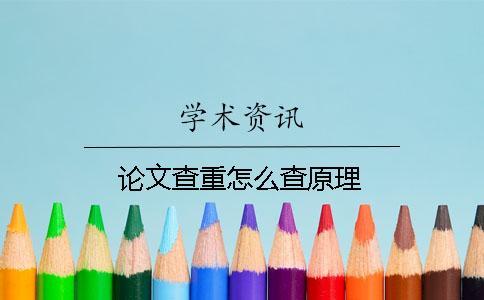 論文查重怎么查原理