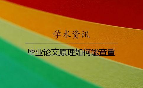 畢業(yè)論文原理如何能查重