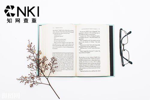 人工降重會泄露論文嗎？(圖1)